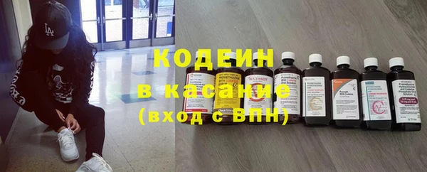 шишки Алзамай