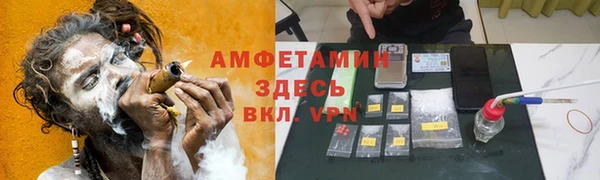 шишки Алзамай
