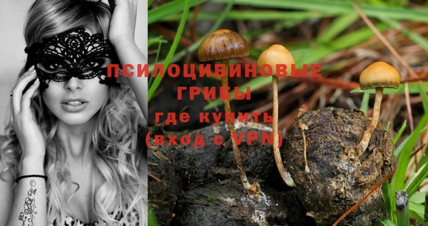 шишки Алзамай