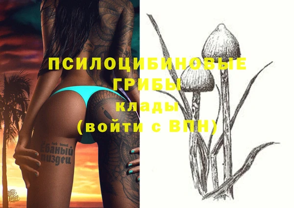 винт Алексеевка