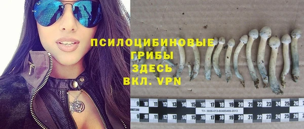 шишки Алзамай