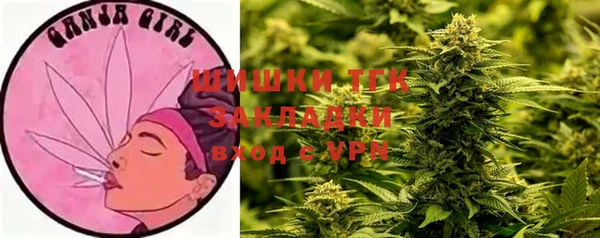 винт Алексеевка
